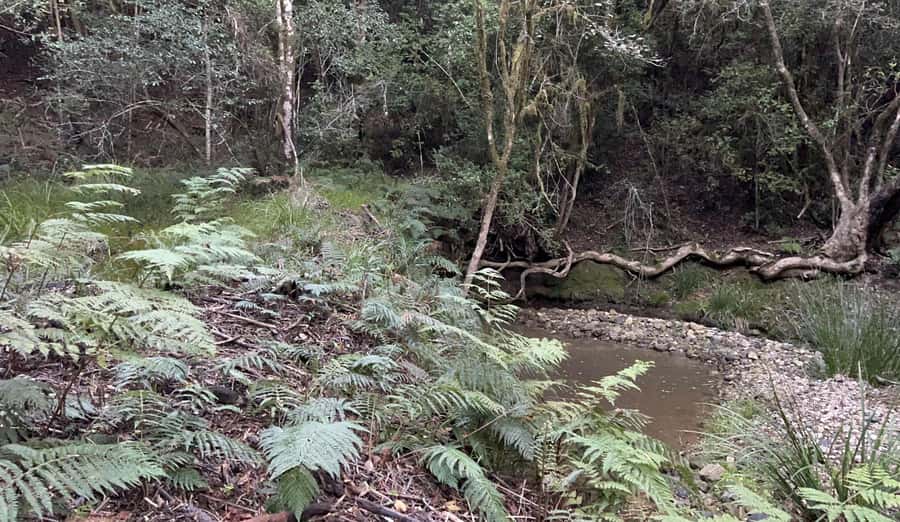 Guided Wildlife Tour and Forest Walk with Lunch Platter - Getting to Tenikwa and arriving ready (so your day starts smoothly)