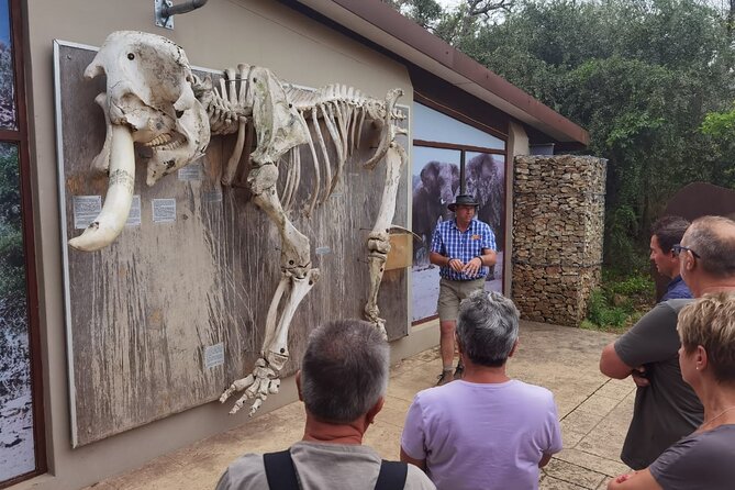 Half-Day Addo Elephant National Park - Sundays River Lunch Stop at Taste of Africa: Eat Well Without Losing Sight Time