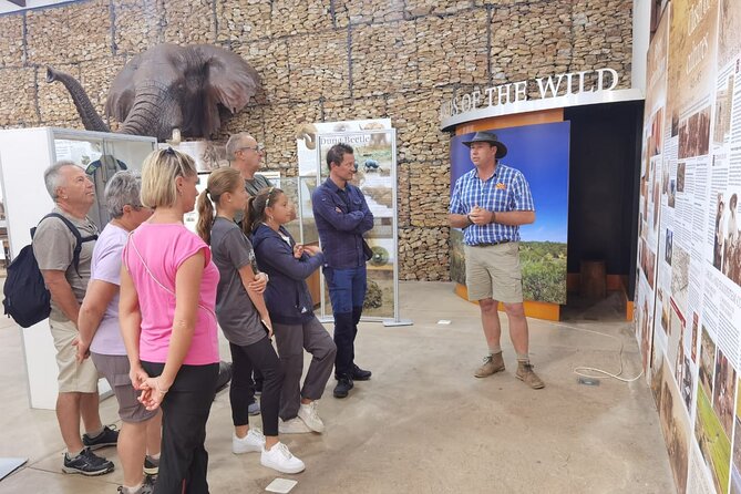 Half-Day Addo Elephant National Park - Price, Inclusions, and Who This Tour Suits Best