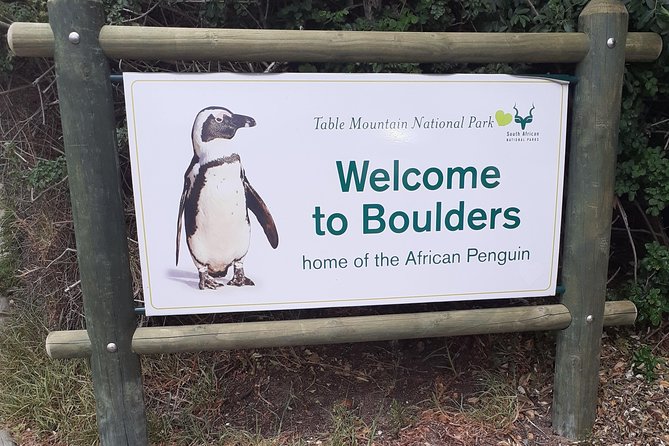 Half day African Penguin Tour - Bantry Bay and Camps Bay, where Cape Town’s coastal character shows up