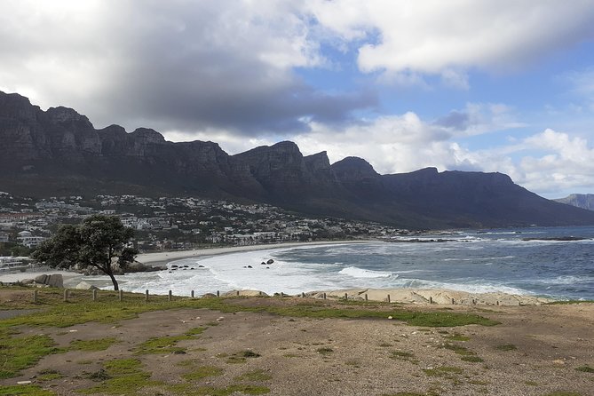 Half day African Penguin Tour - Hout Bay and the harbor vibe, plus Chapmans Peak’s big payoff