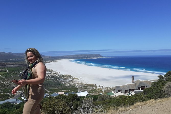 Half day African Penguin Tour - Boulders Beach Penguin Colony: what close viewing really means