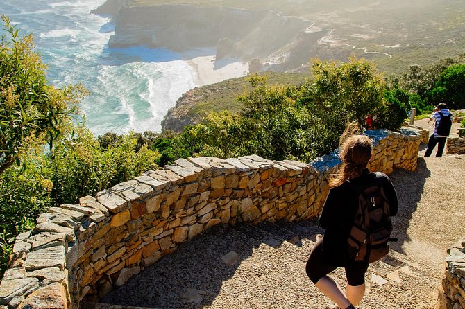 Half day am or pm Boulders Beach & Penguins with visit to Cape Point Great tour - The half-day plan that saves you from Cape Town driving stress