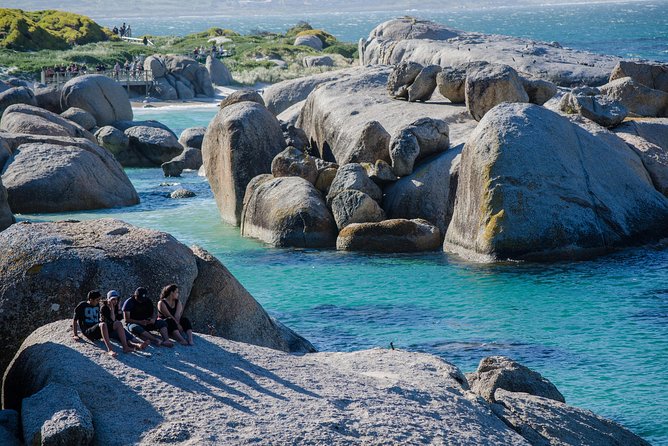 Half day am or pm Boulders Beach & Penguins with visit to Cape Point Great tour - Cape of Good Hope photo stop and Cape Point lighthouse options