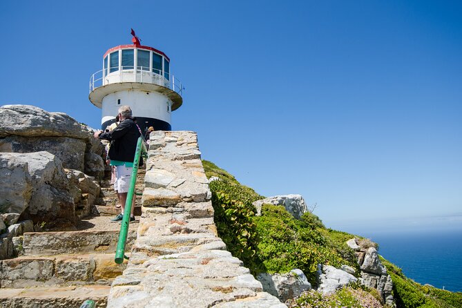Half day am or pm Boulders Beach & Penguins with visit to Cape Point Great tour - Boulders Beach penguin colony: the famous stop you pay extra for