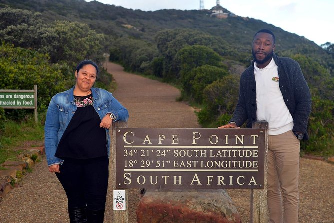 Half Day Boulders Penguins and Cape Point Small Group Tour - Boulders Beach Penguin Colony: what you actually get (and what you might not)