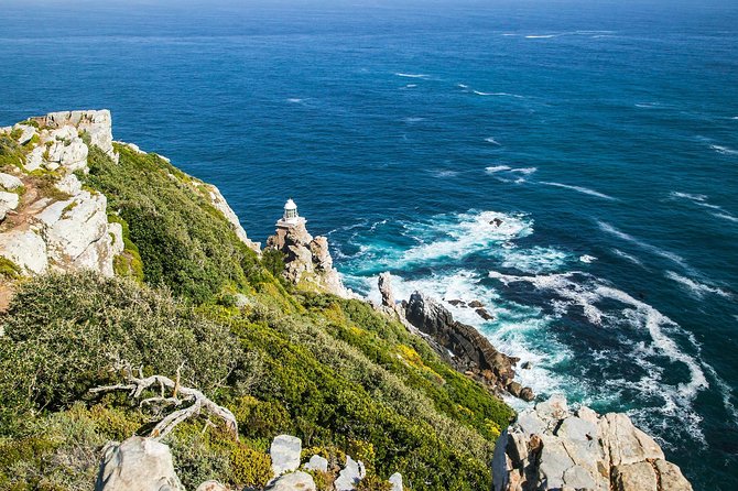 Half-Day Cape Peninsula Tour from Cape Town - Watching the fisher village: when the coast has a pulse