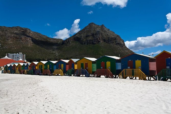 Half day Cape Point Sightseeing Tour with Penguins from Cape Town - The return drive through False Bay, Simons Town, and Muizenburg