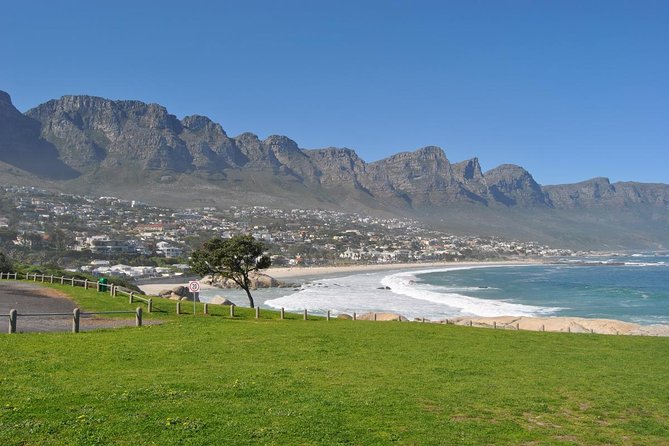Half day Cape Point Sightseeing Tour with Penguins from Cape Town - Price, time, and whether it’s the right match for you