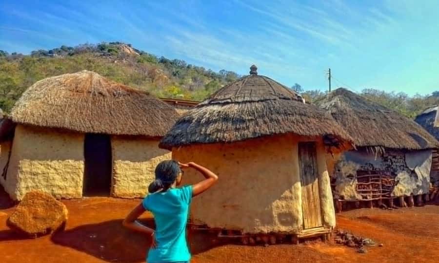 Half Day Durban City Tour and Phezulu Safari Park - Should you book Half Day Durban City Tour and Phezulu Safari Park?