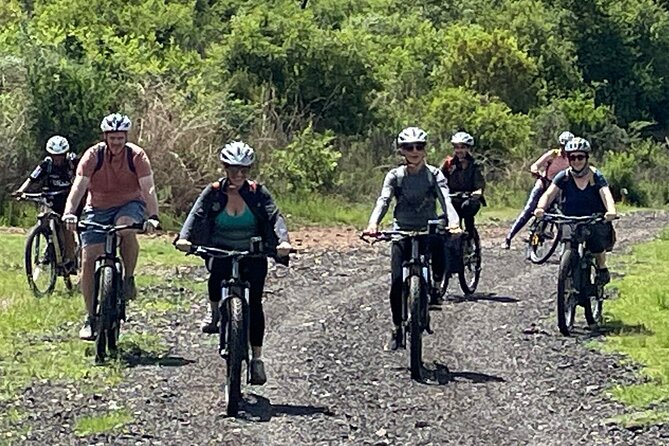 Half Day E-Biking with Wildlife Watching in Pretoria - Food and finish: a treat, a beverage, and how to plan after