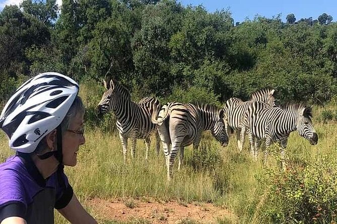 Half Day E-Biking with Wildlife Watching in Pretoria - The ride feel: e-bikes on gravel jeep tracks with smart pacing