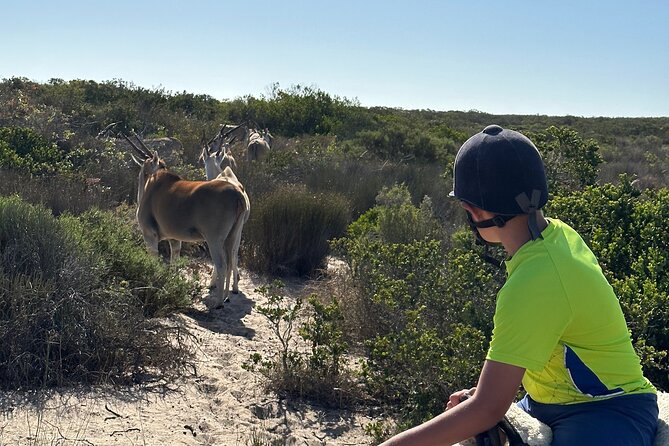 Half day Horse back safari - Price and value: what $60.60 buys you for four hours