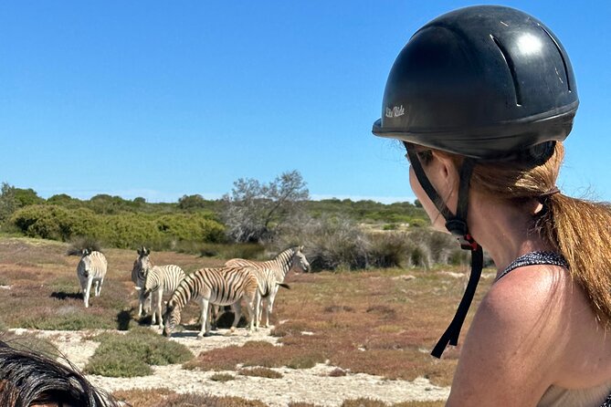 Half day Horse back safari - Who this tour fits best, and who should reconsider