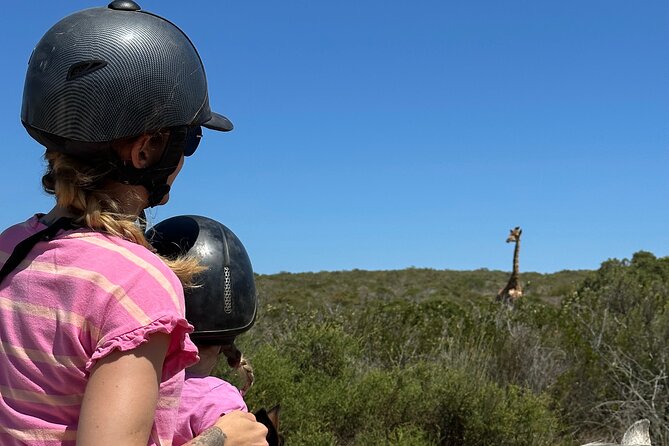 Half day Horse back safari - !Khwa ttu lunch and cultural tour, right after the riding
