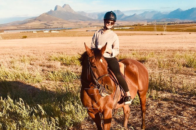 Half Day Horseback Wine Tour - Where the Tour Starts: Ubuntu Horse Trails at Vredenheim