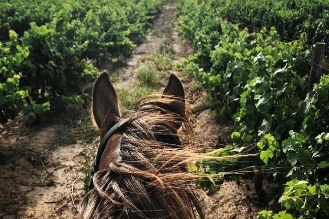 Half Day Horseback Wine Tour - Lunch at Vredenheim: Oak Trees, Gardens, and a Cozy Pause