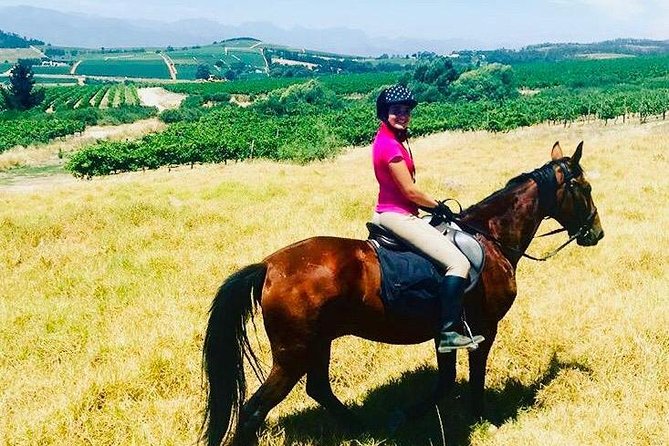 Half Day Horseback Wine Tour - Who This Tour Suits Best (And Who Should Skip It)