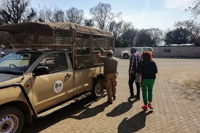 Half Day Lion and Safari Park Tour - Why a Half Day Lion and Safari Park Tour Fits Johannesburg