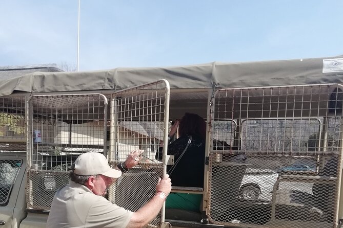 Half Day Lion and Safari Park Tour - The 2-Hour Game Drive for Cheetahs, Wild Dogs, and Friends