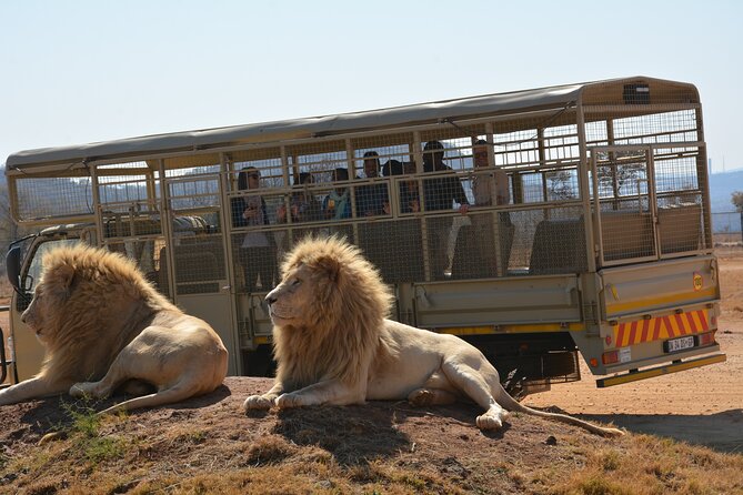 Half Day Lion Park tour from Johannesburg or Pretoria - Kids playground and 5 Dome Shopping Experience: the half-day stays busy