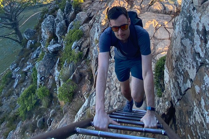 Half-day Lion's Head Hike in Cape Town - Lion’s Head in Cape Town: Why This Half-Day Hike Gets All the Love