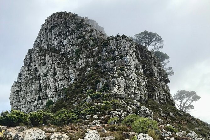 Half-day Lion's Head Hike in Cape Town - Price and Value: Is $60.16 Worth It?