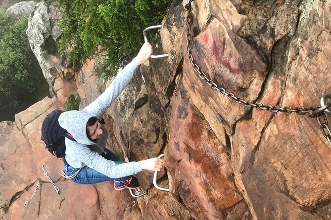 Half-day Lion's Head Hike in Cape Town - Who Should Book Lion’s Head, and Who Should Think Twice