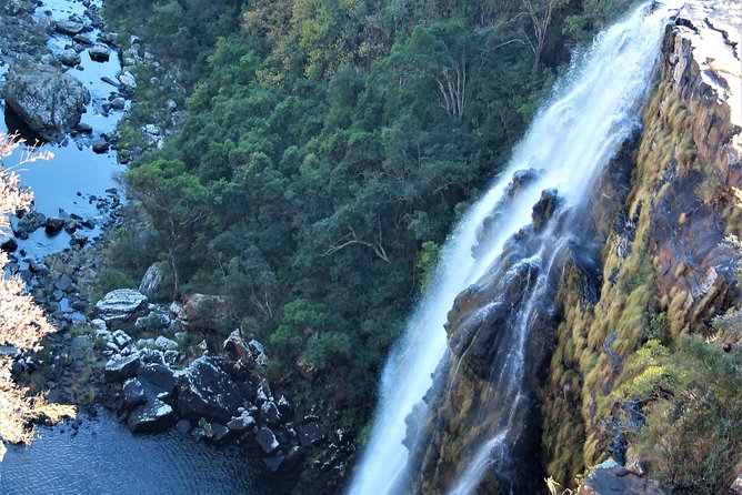 Half Day Panorama Guided Tour - Guides you are likely to meet, and how to get the most out of them