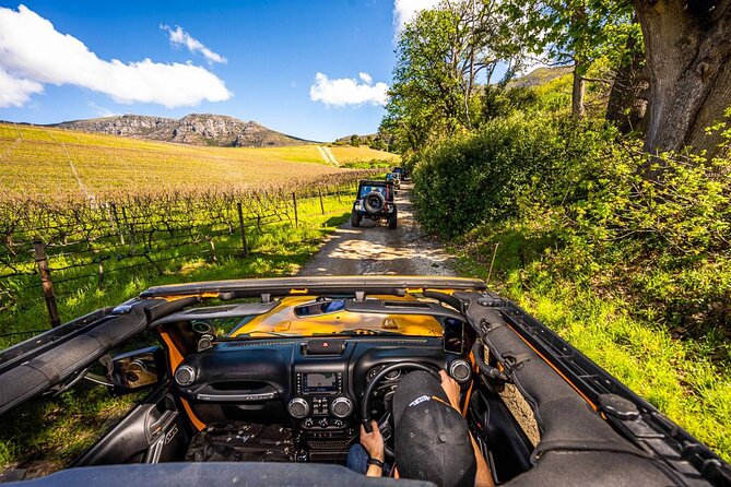 Half day Peninsula & Wine Combo tour - Key things to know before you go