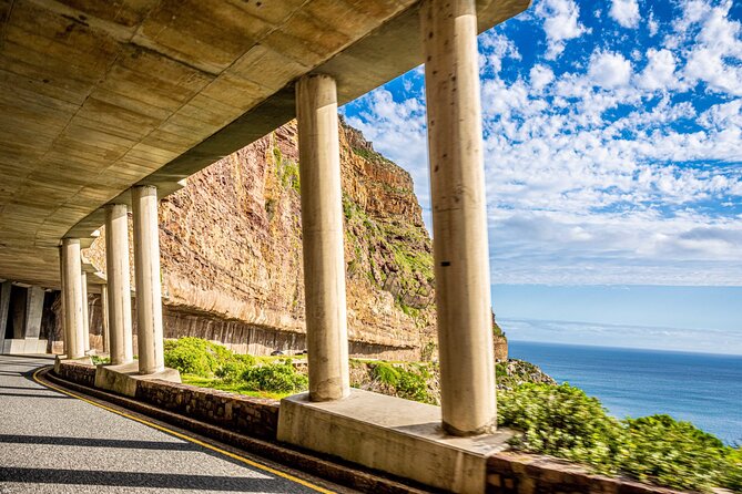 Half day Peninsula & Wine Combo tour - What you actually do on this 5.5-hour Peninsula and wine plan