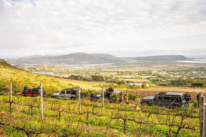 Half day Peninsula & Wine Combo tour - Hout Bay’s fishing-village feel before you hit Chapman’s Peak
