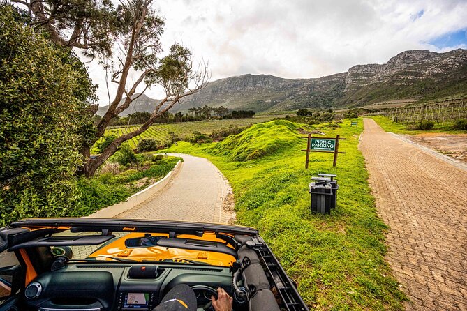 Half day Peninsula & Wine Combo tour - Price and value: what $279.17 gets you in real-world terms