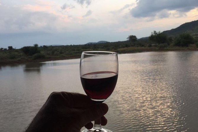 Half day safari from johannesburg - Guides, Punctual Pickup, and the Small-Group Advantage