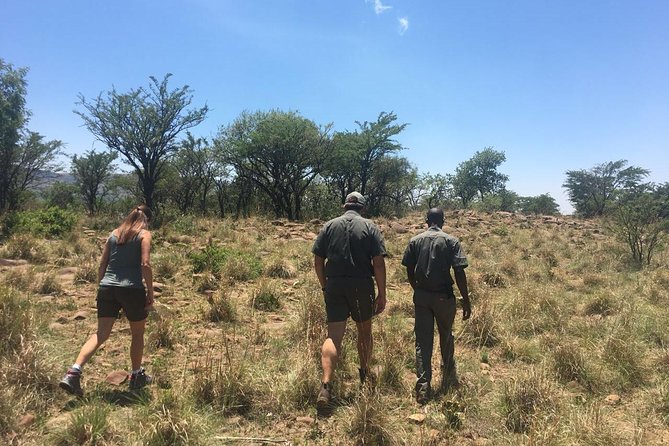 Half Day Safari Tour from Johannesburg - Key highlights worth centering in your plan