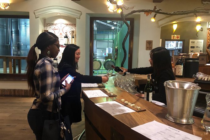 Half Day Stellenbosch Winelands Private Tour from Cape Town - Marianne Wine Estate: Biltong and Wine That Actually Makes Sense