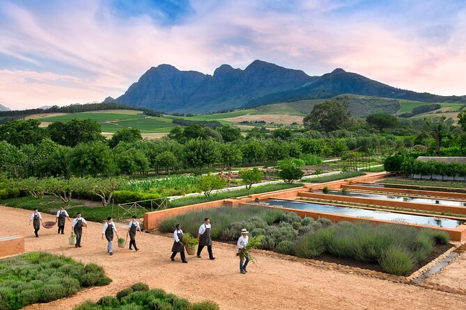 Half Day Stellenbosch Winelands Private Tour from Cape Town - Stellenbosch Drive-By Orientation on Dorp Street