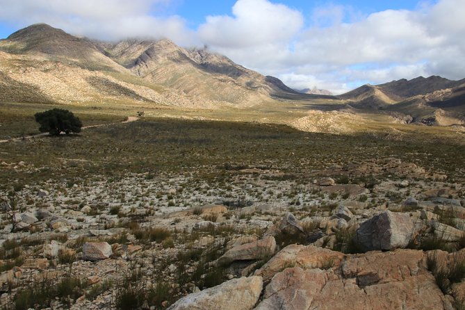 Half-Day Swartberg Pass PRIVATE Tour (including lunch & transfer - Oudtshoorn) - The Swartberg Mountain Trail walk: moderate, optional, and worth the time