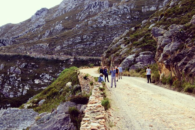 Half-Day Swartberg Pass PRIVATE Tour (including lunch & transfer - Oudtshoorn) - Price and value: is $155.52 per person fair for a private pass tour?