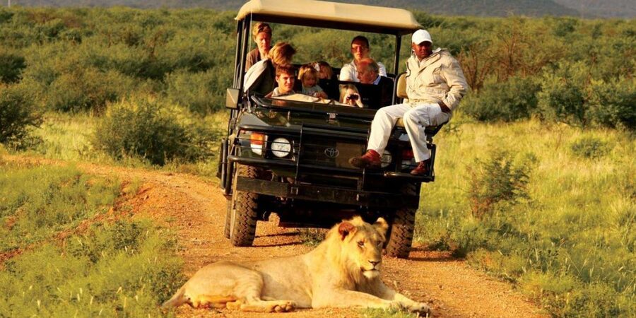 Half Day Tala Game Reserve & Natal Lion Park from Durban - Should you book it?
