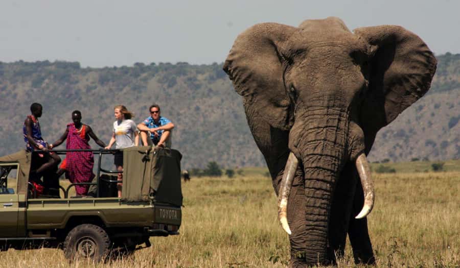 Half Day Tala Game Reserve & Natal Lion Park from Durban - Tala Game Reserve 4x4 safari: why the size matters