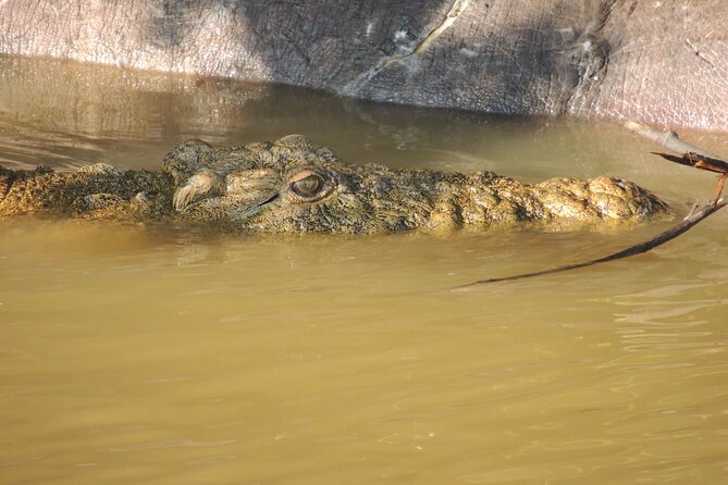 Half Day Tour in iSimangaliso Wetland Park - On the Water at Sunset Jetty: What the Cruise Looks Like