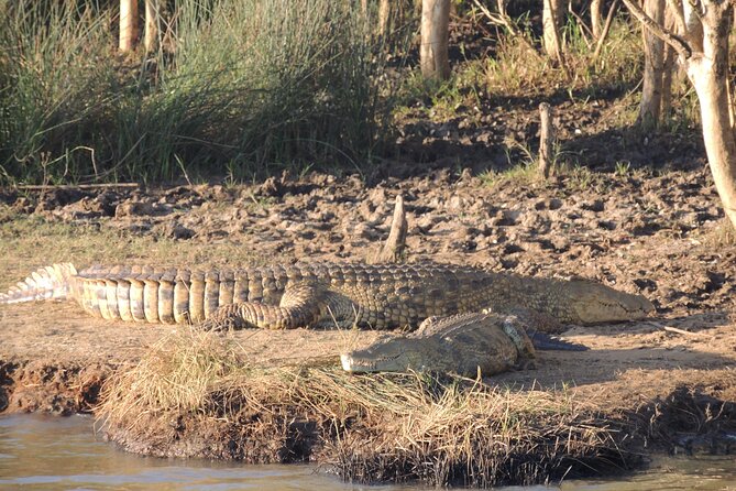 Half Day Tour in iSimangaliso Wetland Park - What to Pack and How to Make Photo and Bird Time Easier