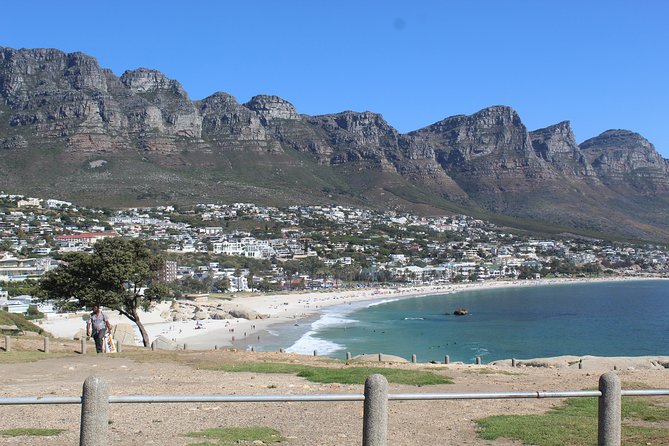 Half-Day Tour of Cape Town City - Company’s Gardens: Trees, Wildlife, and the National Gallery in One Spot