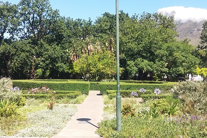 Half-Day Tour of Cape Town City - Castle of Good Hope and the Noon Cannon Moment