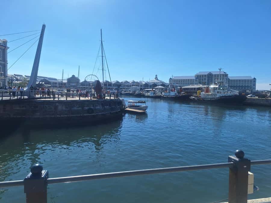 Half Day Tour to Robben Island with Pre-Booked Ticket - Ferry Back to the V&A: A Short Reset After a Heavy Visit