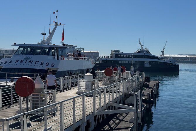 Half-Day Tour to Robben Island with Reserved Tickets. - African Penguins on the Island Route