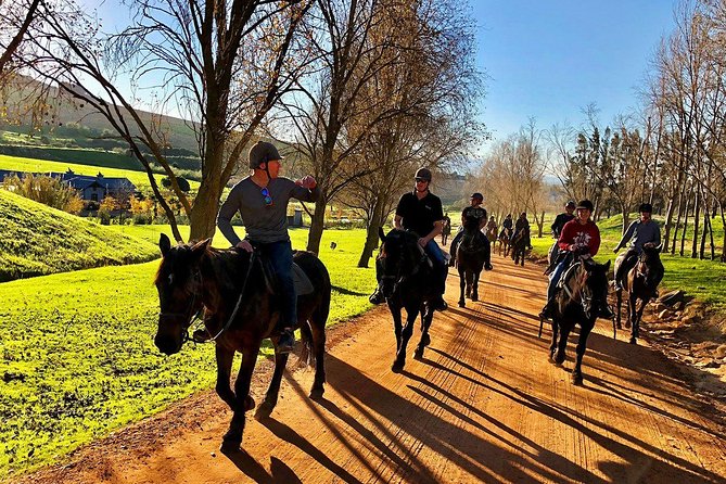 Half Day – Wine Tasting Horse Trail - Key highlights worth your attention