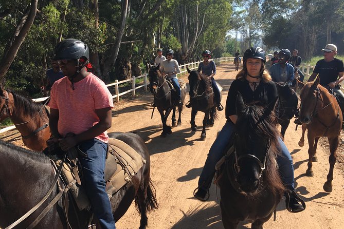 Half Day – Wine Tasting Horse Trail - The ride itself: vineyards, farm paths, and the mountain climb