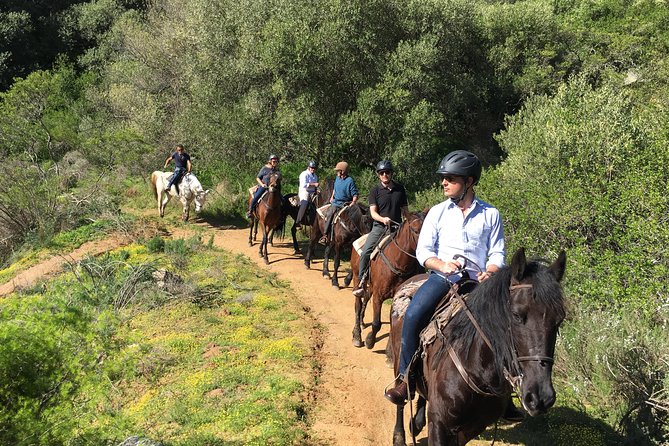 Half Day – Wine Tasting Horse Trail - Pace, group size, and how to make the day feel smooth